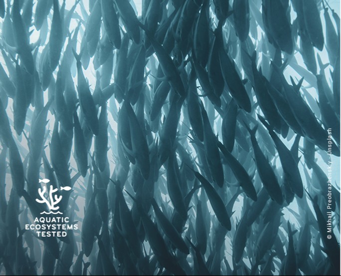 Nuestras iniciativas para limitar el impacto ambiental